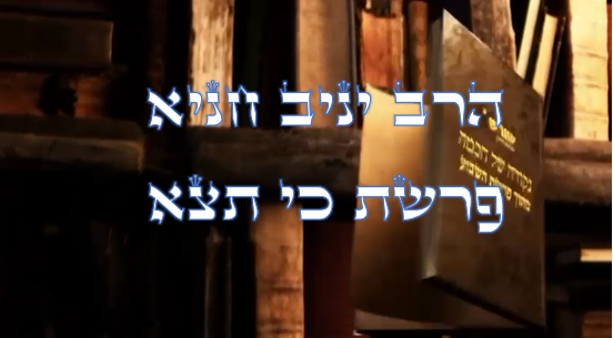 נקודה של חכמה מפרשת השבוע- כי תצא